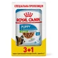 Royal Canin Puppy X-Small - Консервований корм для цуценят мініатюрних порід (шматочки в соусі); 3+1 шт.
