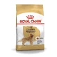 Royal Canin Golden Retriever 25 Adult - Сухой корм для взрослых Ретриверов; 12 кг