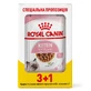 Royal Canin Kitten Instinctive - Консервований корм для кошенят (шматочки в соусі); 3+1