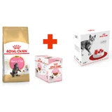 Royal Canin Maine Coon Kitten - Сухой корм с курицей для котят породы Мейн-Кун; 2 кг + 12(85 г) + Feeder