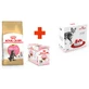 Royal Canin Maine Coon Kitten - Сухой корм с курицей для котят породы Мейн-Кун; 2 кг + 12(85 г) + Feeder