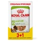 Royal Canin X-Small Adult - Влажный корм с домашней птицей для взрослых собак (кусочки в соусе); 3+1 шт.