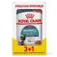 Royal Canin (Роял Канин) Hairball Care - Консервированный корм для взрослых котов (кусочки в соусе); 3+1 шт.
