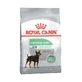 Royal Canin Mini Digestive care (Sensible) - Сухой корм для собак с чувствительным пищеварением; 3 кг