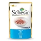 Schesir