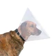 Тrixie (Трикси) Protective Collar - Ветеринарный воротник для собак и кошек; S