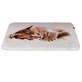Trixie (Трикси) Tilly Lying Mat - Бежевый матрас с рисунком кошки для котов и кошек; 50х40 см (Бежевый)