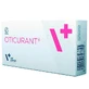 VetExpert (ВетЭксперт) Oticurant - Порошок для ухода за ушами собак; 24 шт./уп.