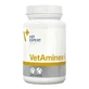 VetExpert (ВетЕксперт) VetAminex - Вітамінно-мінеральний комплекс для кішок і собак; 60 шт.