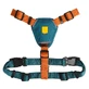 Woolly Wolf Color Block Harness Lime Mix - Шлея анатомічна для собак малих, середніх та великих порід порід; S / 34-50х50-66 см