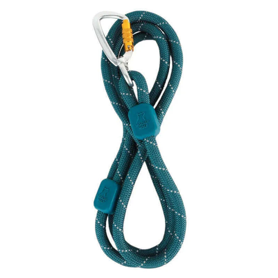 Woolly Wolf Rope Leash Deep Teal - Повідець з амортизацією та світловідбивачами для собак середніх та великих порід; 1х180 см: ціни та характеристики
