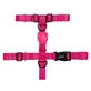 Zee.Dog H-Harness Pink LED - Шлея для собак; S / 24-37,8х32-52,8 см