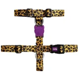 Zee.Dog H-Harness Honey - Шлея з леопардовим принтом для собак; S / 24-37,8х32-52,8 см
