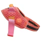 Zee.Dog FlyHarness Gazelle - Шлейка с ручкой и светоотражателями для собак средних и крупных пород; Size 3 / 55-77х55-77 см (Gazelle)