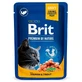 Brit Premium Cat Pouches with Salmon amp; Trout - Пауч з лососем і фореллю для котів; 100 г