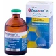Enroxil (Енроксіл) by KRKA 5% - Антибактеріальний препарат Енроксіл 5% (розчин для інamp;'єкцій); 100 мл