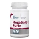 VetExpert (ВетЭксперт) Hepatiale Forte Small breed&amp;Cats - Пищевая добавка для поддержания функций печени у собак мелких пород и котов; 40 шт./уп.