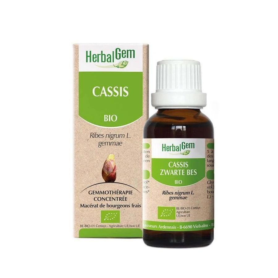 Herbalgem Чорна смородина Біо 30мл: ціни та характеристики