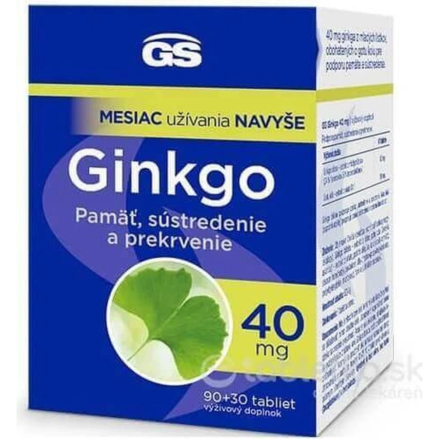 GS Гінкго 60 мг з магнієм 1×120 таблеток, дієтична добавка: ціни та характеристики