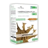 Flora Natura Organic Harpagophytum Articulations 20 ампул