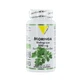 Vit'All+ Organic Moringa 60 гелей