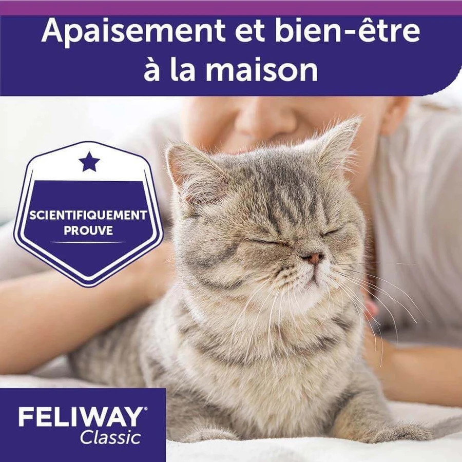 Feliway Classic спрей с феромонами для кошек 60 мл: цены и характеристики