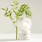 Vitry Crème Magistrale 50ml: цены и характеристики