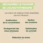 Pranarôm Aromaboost Roll-On Bio Diet 5ml: цены и характеристики