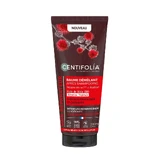 Centifolia Repairing Detangling Conditioner после шампуня 200 мл