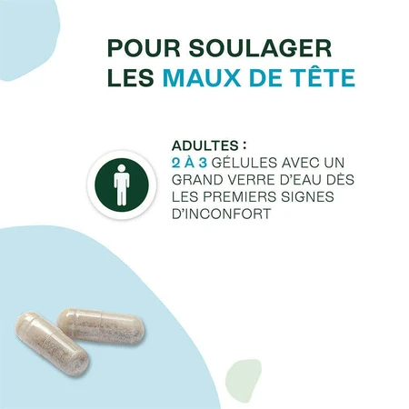 Naturactive Maux de Tête Flash Bio 14 gélules: цены и характеристики