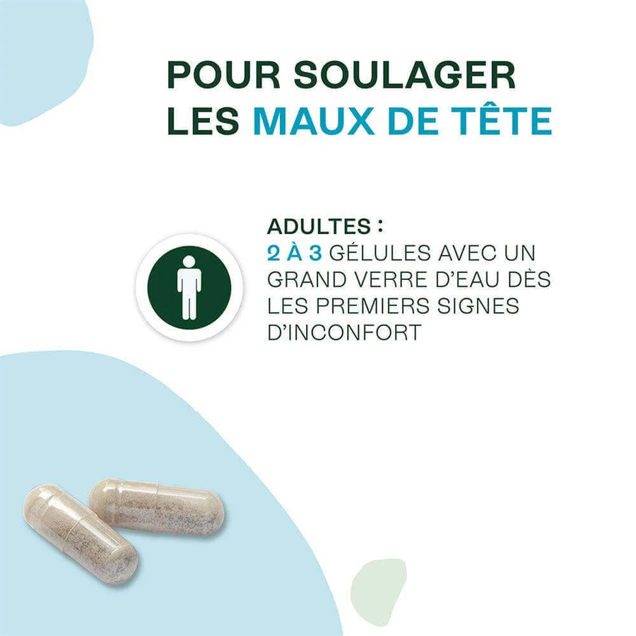 Naturactive Maux de Tête Flash Bio 14 gélules: цены и характеристики