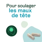 Naturactive Maux de Tête Flash Bio 14 gélules: цены и характеристики
