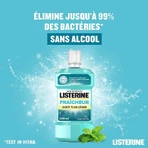 Listerine Свежая мята Бесспиртовая ванна 500 мл: цены и характеристики
