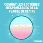 Listerine Свежая мята Бесспиртовая ванна 500 мл: цены и характеристики