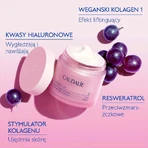 Caudalie Resveratrol-Lift, ночной крем Tisane de Nuit, 50 мл: цены и характеристики