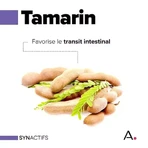 Араган Синактифс ТранзитАктифс 20 капсул: цены и характеристики