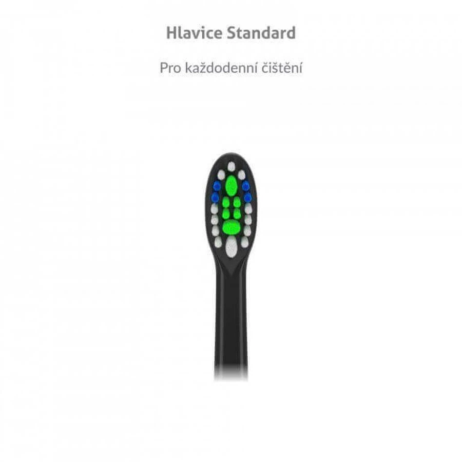 TrueLife SonicBrush Compact Heads Black Стандартные сменные насадки 8 шт.: цены и характеристики