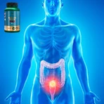 Lanco Nutritions Sodium Butyrate Max, 60 капсул: цены и характеристики