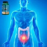 Lanco Nutritions Sodium Butyrate Max, 60 капсул