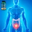 Lanco Nutritions Бутират натрію Max, 60 капсул