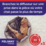 Feliway Friends Cats Heureux Harmonie Durable Refills entre Chats 3x48ml: цены и характеристики