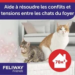 Feliway Friends Cats Heureux Harmonie Durable Refills entre Chats 3x48ml: цены и характеристики