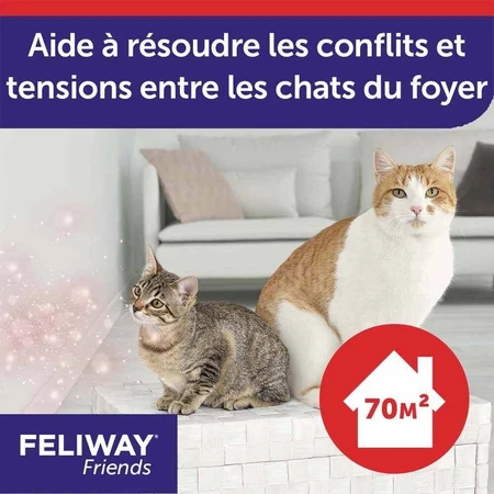 Feliway Friends Cats Heureux Harmonie Durable Refills entre Chats 3x48ml: цены и характеристики