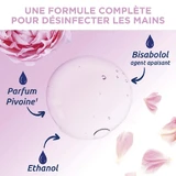 Дезінфікуючий гель для основної дезінфекції Hydroalcoolique Pivoine Peaux sensibles 30мл