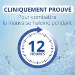 Cb12 Gum Treatment Bath Menthe Fraîche 250 мл: цены и характеристики