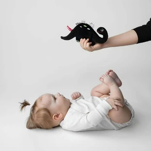 Mom's Care, шурхотлива контрастна тканина, Динозавр, 1 шт.