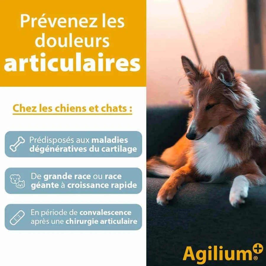 Ceva Agilium+ аппетитные таблетки для собак и кошек 30 таблеток: цены и характеристики