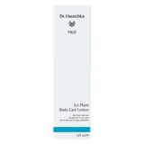 Dr. Hauschka Med, лосьон для тела с пряностями, 145 мл
