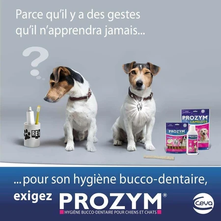 Ceva Prozym Sticks à mâcher RF2 pour l'hygiène bucco-dentaire Sticks pour animaux de 0 à 25kg x12: цены и характеристики