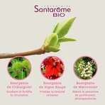 Santarome Complexe Jambes Legeres Bio Gémmothérapie 30 мл: ціни та характеристики